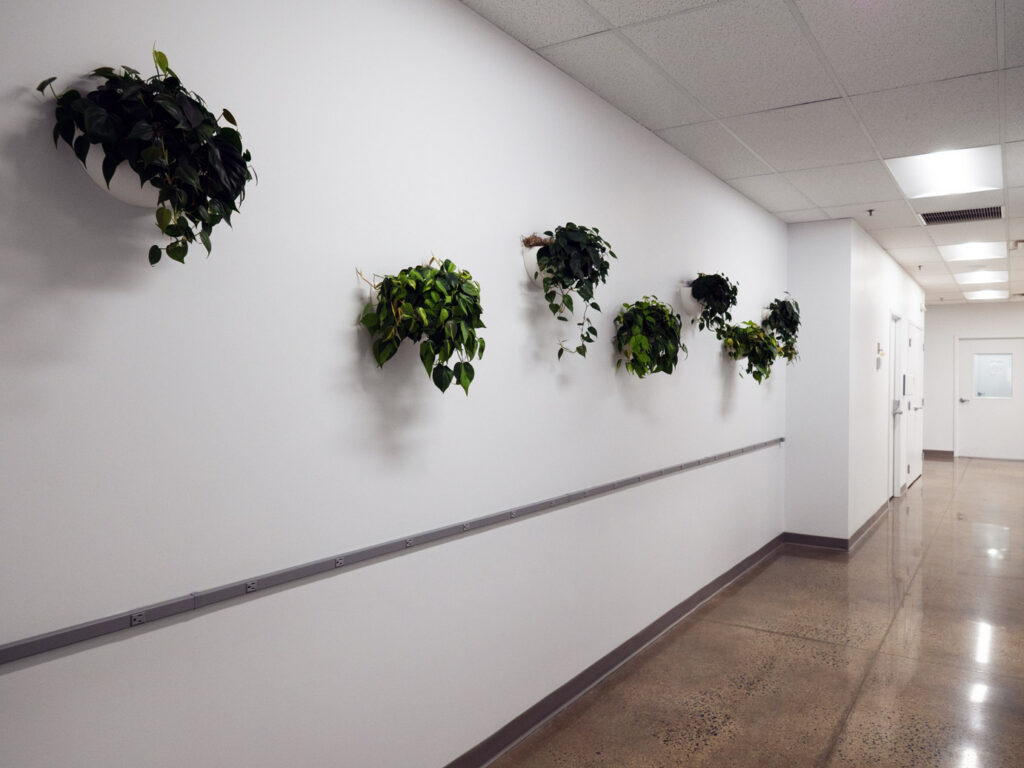 Wide lab corridor built for moving equipment